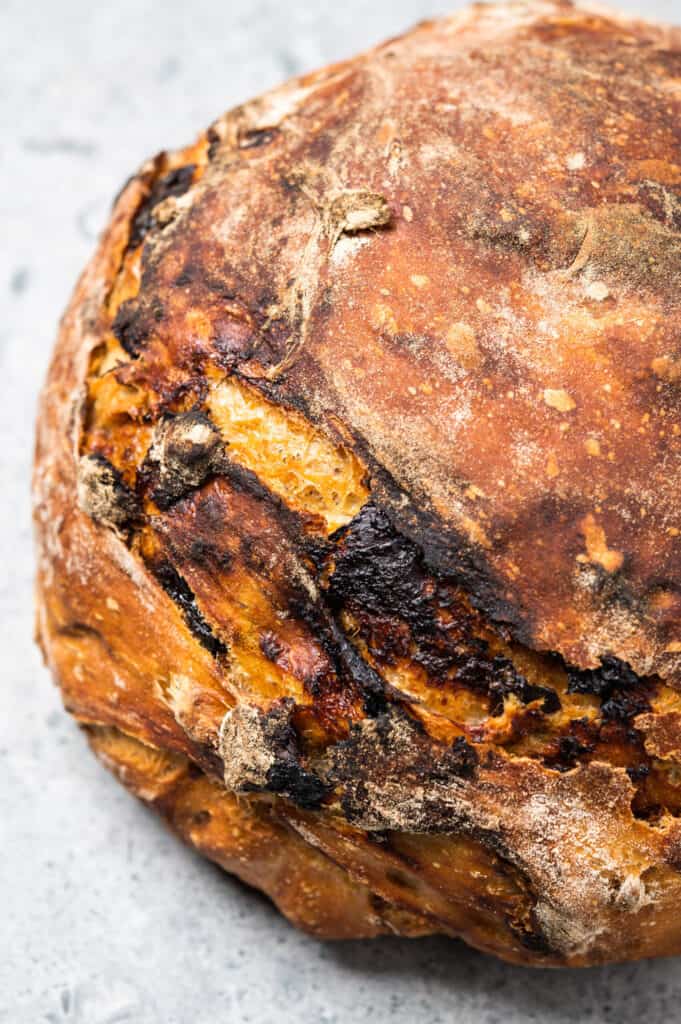 gorgeous loaf of prune bread with cardamom and pecan