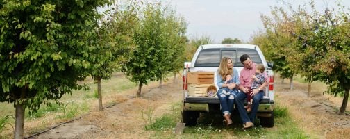 family in a plum orchard sitting on tailgate