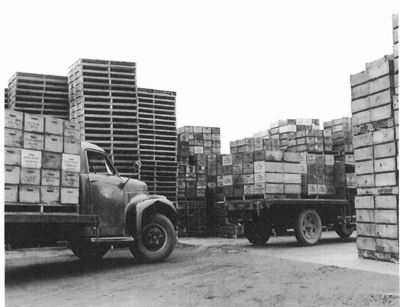 trucks carrying prunes in wooden crates