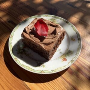 a square of fudgy chocolate sheet cake