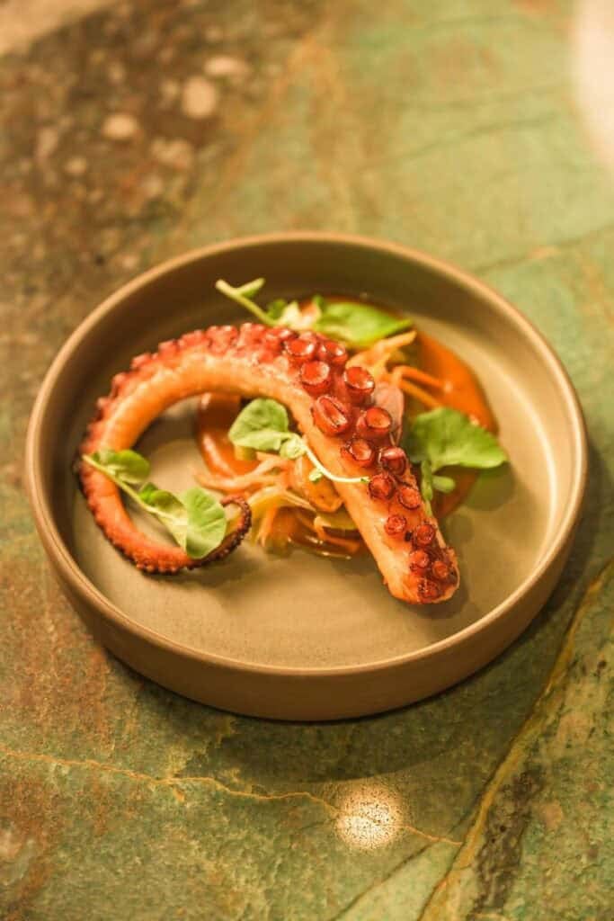 octopus leg over mole sauce in a tan plate